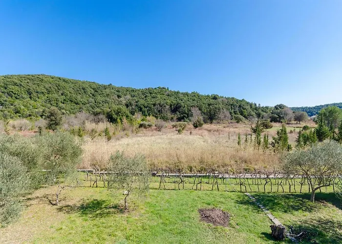 Vesna Apartman